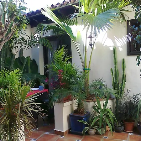 Appartement Aptos Monasterio De San Antonio 1 Icod De Los Vinos
