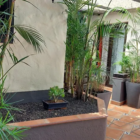 Apartmán Aptos Monasterio De San Antonio 1 Icod De Los Vinos