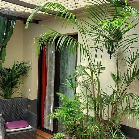 Aptos Monasterio De San Antonio 1 Apartment Icod De Los Vinos